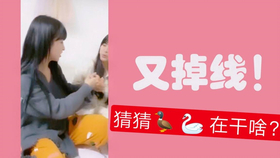 王中王欲錢詩(shī)猜一肖，王中王欲錢詩(shī)暗示的生肖之謎