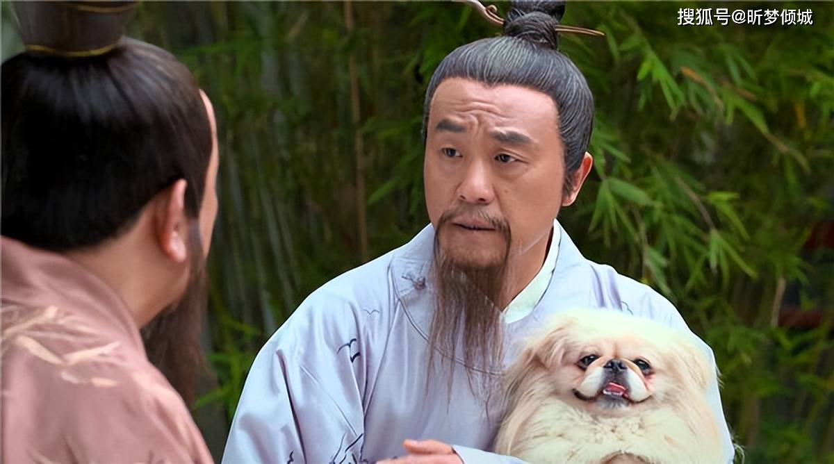 揭秘劉伯溫四不象一肖的神秘面紗——探尋背后的傳奇故事，揭秘劉伯溫四不象一肖背后的傳奇故事，神秘面紗下的神秘傳說