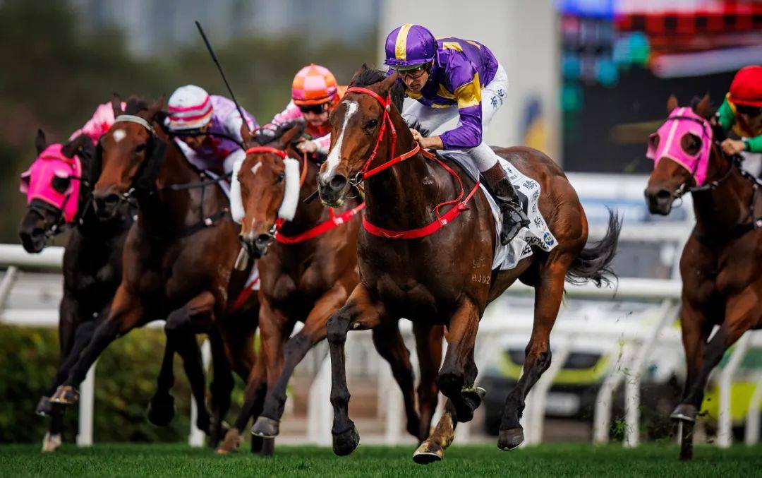 香港賽馬，探索賽馬運(yùn)動(dòng)的激情與榮耀之地——7777788888的獨(dú)特魅力，香港賽馬，激情與榮耀的獨(dú)特魅力探索——777778賽馬運(yùn)動(dòng)之地