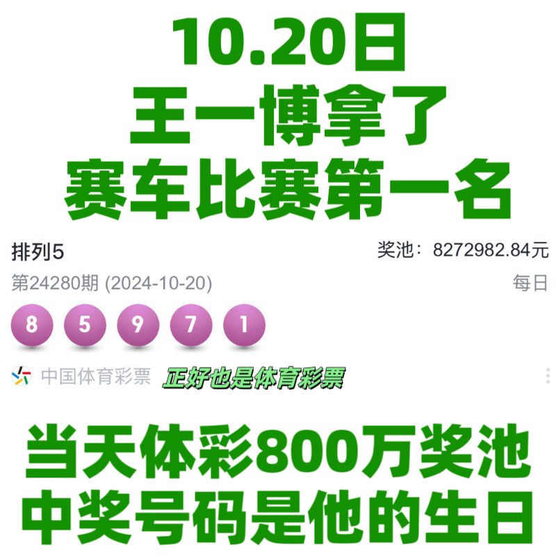 王中王一肖資料中特馬——深度解析與SEO洞察，王中王一肖特馬深度解析與SEO洞察揭秘
