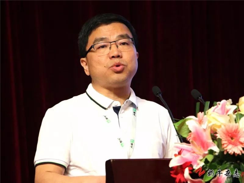 王中王一平特肖，揭秘第100期的秘密與策略，揭秘第100期秘密與策略，王中王一平特肖獨(dú)家解析