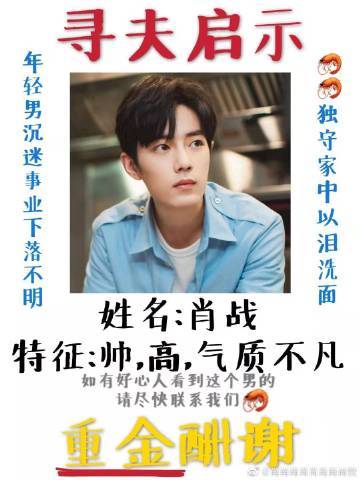 一肖一碼一一肖一子善，探尋命運(yùn)密碼與智慧之光的完美結(jié)合，命運(yùn)密碼與智慧之光，一肖一碼一一肖一子善的探尋