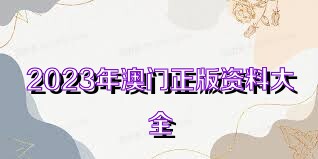 澳門資料大全正版資料查詢，探索澳門的文化與歷史深度之旅，澳門文化與歷史深度探索，正版資料大全及查詢指南