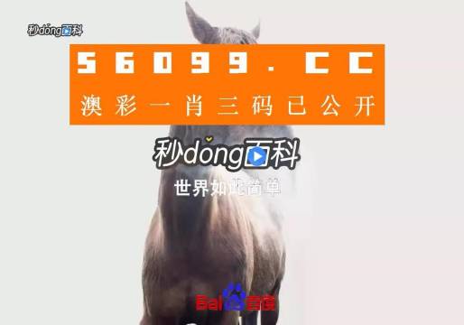 香港內(nèi)部公開資料一碼，深度解析與探索，香港內(nèi)部公開資料一碼深度解析與探索揭秘