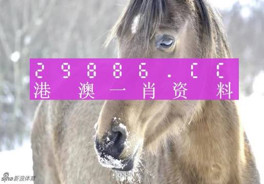 澳門一肖一碼背后的故事，精準背后的秘密與傳奇，澳門一肖一碼背后的秘密與傳奇故事揭秘
