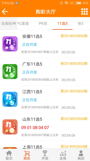 王中王資料一肖一特，深度解析與探索，王中王資料一肖一特，深度解析與探索揭秘