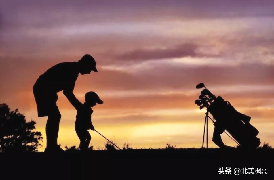 森林高手王中王與神秘生肖——深度解讀背后的故事與秘密，森林高手王中王與神秘生肖，故事背后的深度解讀與秘密探尋