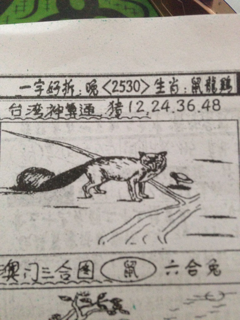 揭秘生肖奧秘，看圖猜一生肖劉伯溫的傳奇故事，揭秘生肖奧秘，劉伯溫傳奇故事中的生肖之謎探索