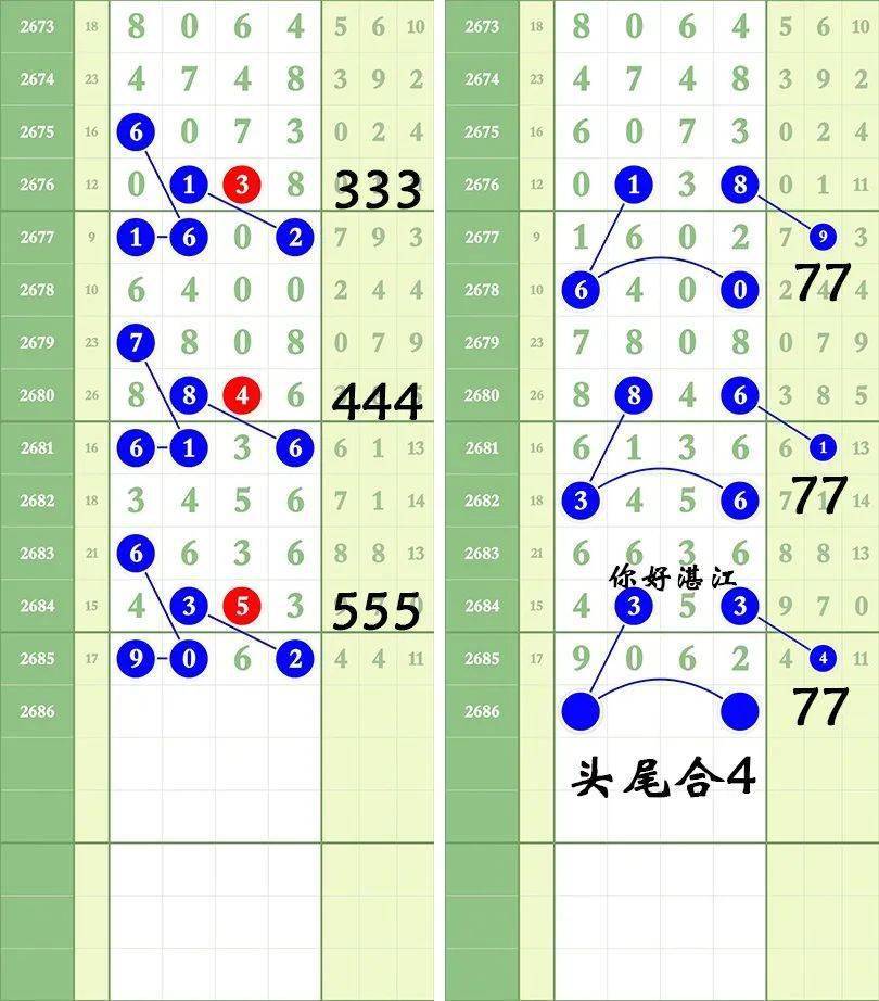 一肖三碼王中王絕密，揭秘背后的秘密與策略洞察，揭秘一肖三碼王中王絕密策略與背后秘密