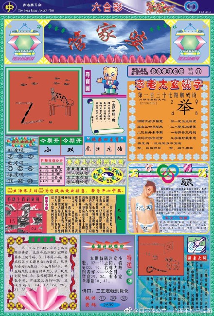 王中王四肖三期開特一，深度解析與探索，王中王四肖三期開特一，深度剖析與探索揭秘