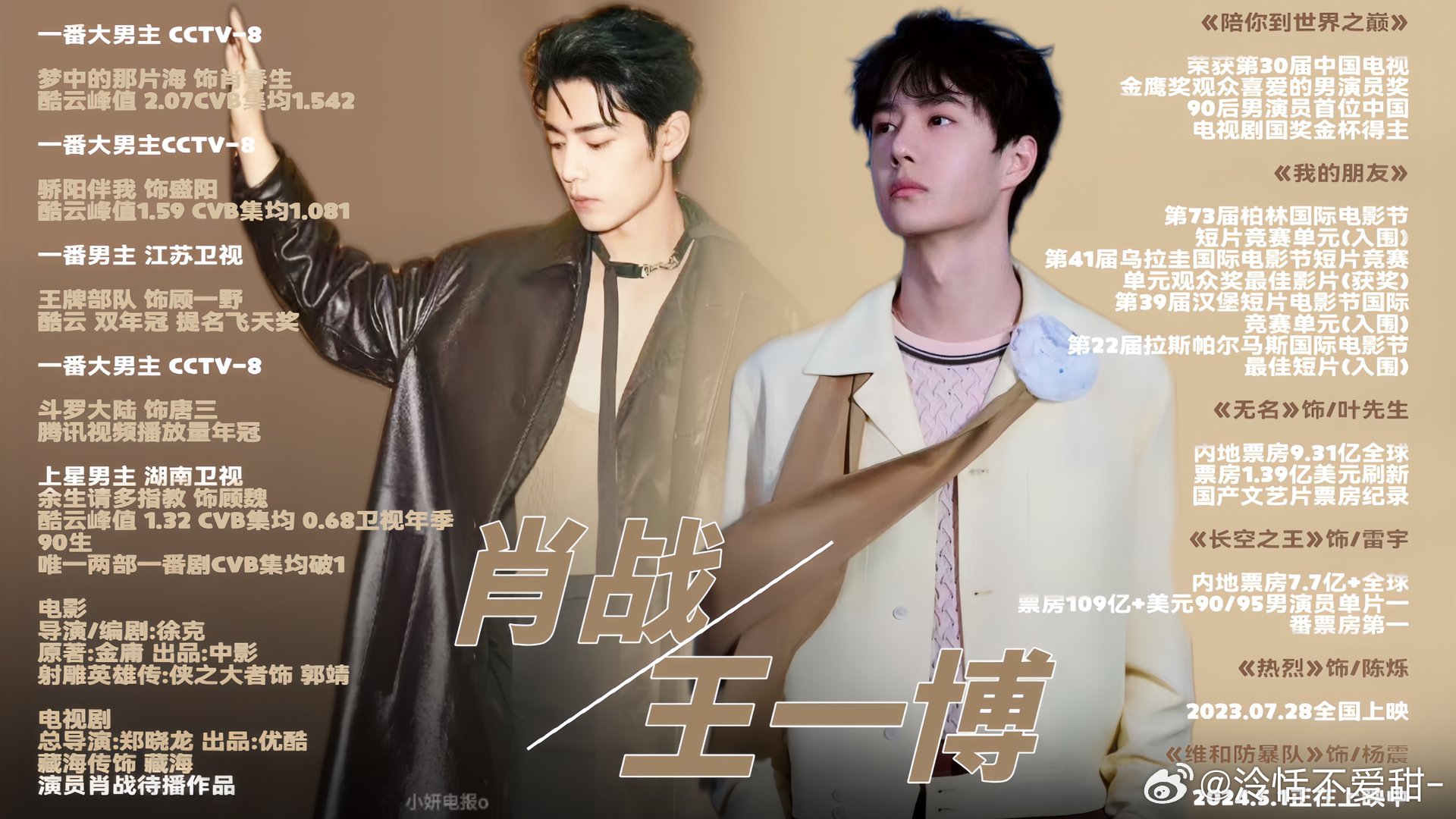王中王一肖中特全年資料解析與SEO優(yōu)化策略，王中王一肖中特全年資料解析與SEO策略詳解