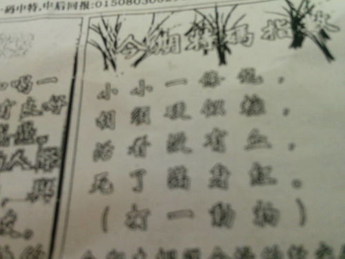 揭秘劉伯溫的一肖一特，探尋神秘傳奇背后的真相，劉伯溫傳奇揭秘，揭秘生肖之謎與獨(dú)特特質(zhì)背后的真相