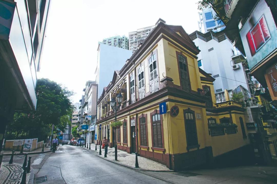 澳門(mén)今晚必開(kāi)一肖，揭秘生肖運(yùn)勢(shì)與預(yù)測(cè)邏輯，澳門(mén)今晚生肖預(yù)測(cè)揭秘，生肖運(yùn)勢(shì)與預(yù)測(cè)邏輯分析