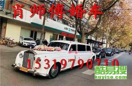 王中王車奪平特一肖免費(fèi)——深度解析與探索，王中王車奪平特一肖，深度解析與免費(fèi)探索