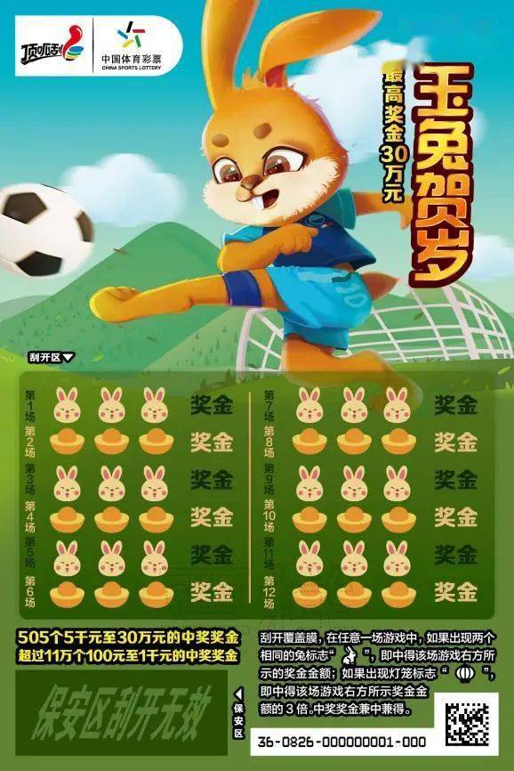 王中王一肖中特兔費(fèi)，探索關(guān)鍵詞背后的奧秘，探索關(guān)鍵詞王中王一肖中特兔費(fèi)背后的奧秘