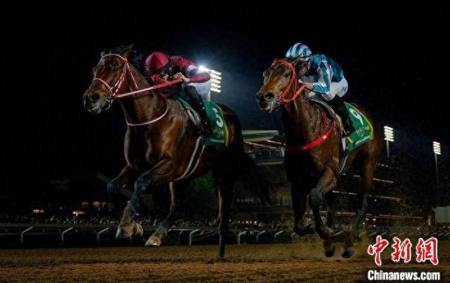 香港王中王一肖中特馬，探索背后的奧秘，香港王中王一肖中特馬背后的奧秘探索