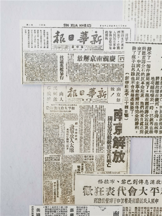探索最新跑狗圖2025高清圖片，最新資訊與獨特魅力，最新跑狗圖2025高清圖片揭秘，資訊魅力一網(wǎng)打盡！