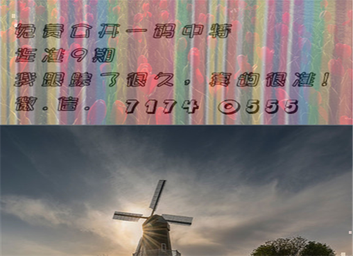 王中王四肖三期必出一期，揭秘彩票背后的秘密策略與技巧，揭秘彩票策略與技巧，王中王四肖三期必出一期之道