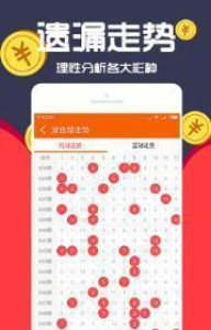 王中王一肖十，深度解析與SEO優(yōu)化策略，王中王一肖十深度解析與SEO優(yōu)化策略探討