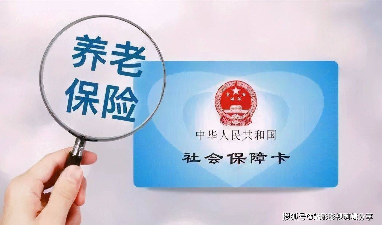 揭秘王中王一期一肖特中獎(jiǎng)背后的秘密，王中王一期一肖特中獎(jiǎng)背后的秘密揭秘