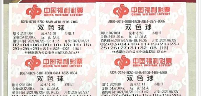 王中王084期指一生肖，解讀背后的秘密與生肖運(yùn)勢分析，王中王084期生肖揭秘，秘密解讀與運(yùn)勢展望