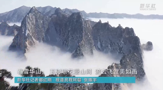 澳門最精準龍門，探索真正的精準之道，澳門最精準龍門，揭秘真正的精準之道