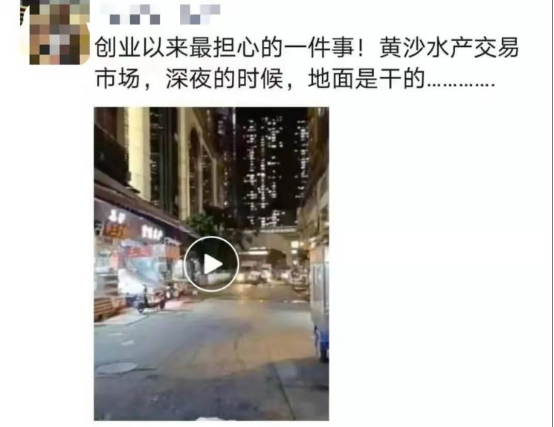 好料盡在王中王——揭秘生肖運勢的獨特魅力，揭秘生肖運勢獨特魅力，王中王好料大解密