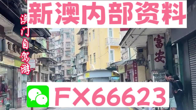 新澳精準(zhǔn)資料免費(fèi)提供，探索與利用資源助力成功，新澳精準(zhǔn)資料免費(fèi)分享，助力成功探索與利用資源