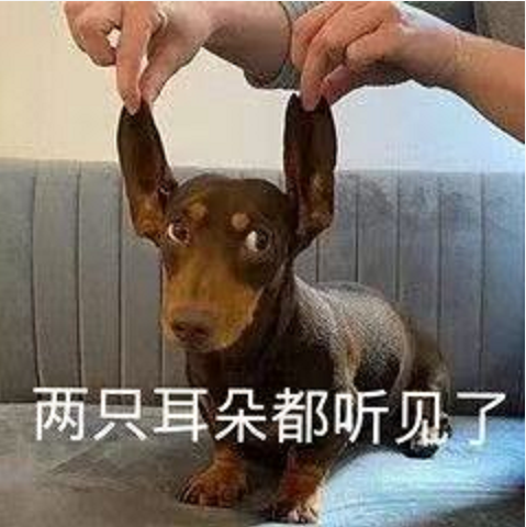 王中王四不象必中一肖，揭秘背后的秘密與策略，揭秘王中王四不象必中一肖背后的秘密與策略之道
