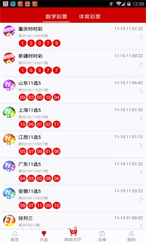 一碼一肖，揭秘背后的秘密與探索其獨特魅力，揭秘一碼一肖背后的秘密與獨特魅力探索