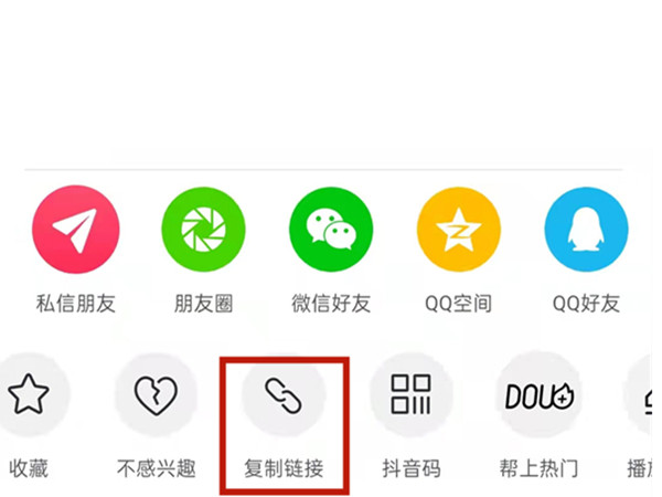 白小姐王中王中特一肖，神秘傳奇與SEO探索，神秘傳奇與SEO探索，白小姐王中王中特一肖的奧秘