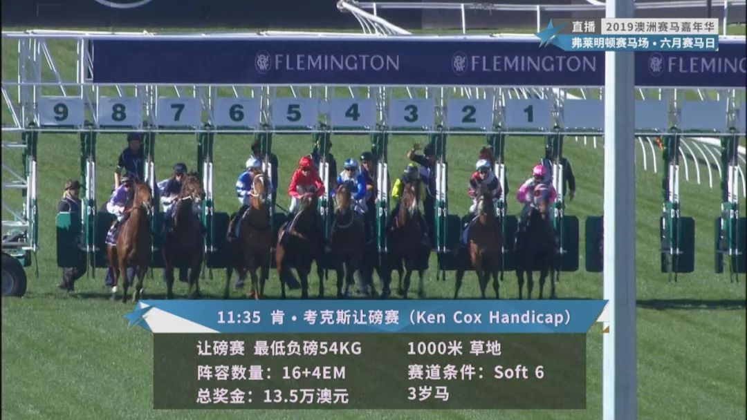 賽馬澳門六月開獎結(jié)果，探索與期待，澳門六月賽馬開獎揭曉，探索結(jié)果引期待