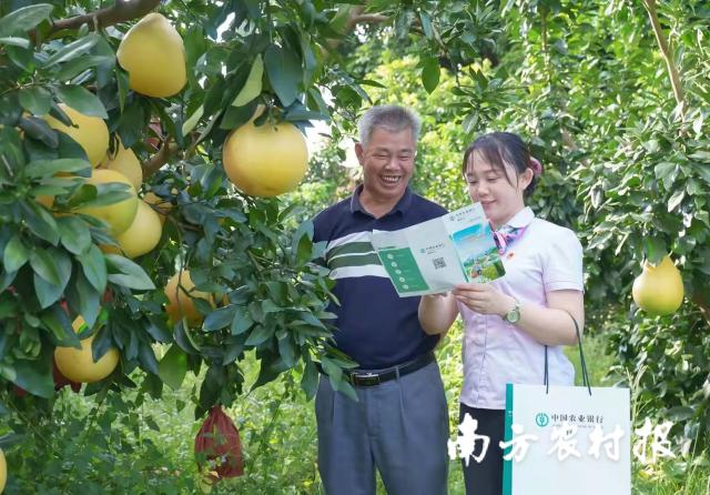 資料大全正版資料2025，一站式獲取所有你需要的信息，資料大全正版資料2025，一站式獲取所有信息總匯