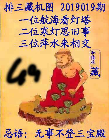 王中王019期指一生肖，深度解讀與SEO優(yōu)化策略，王中王019期生肖深度解讀與SEO策略優(yōu)化指南