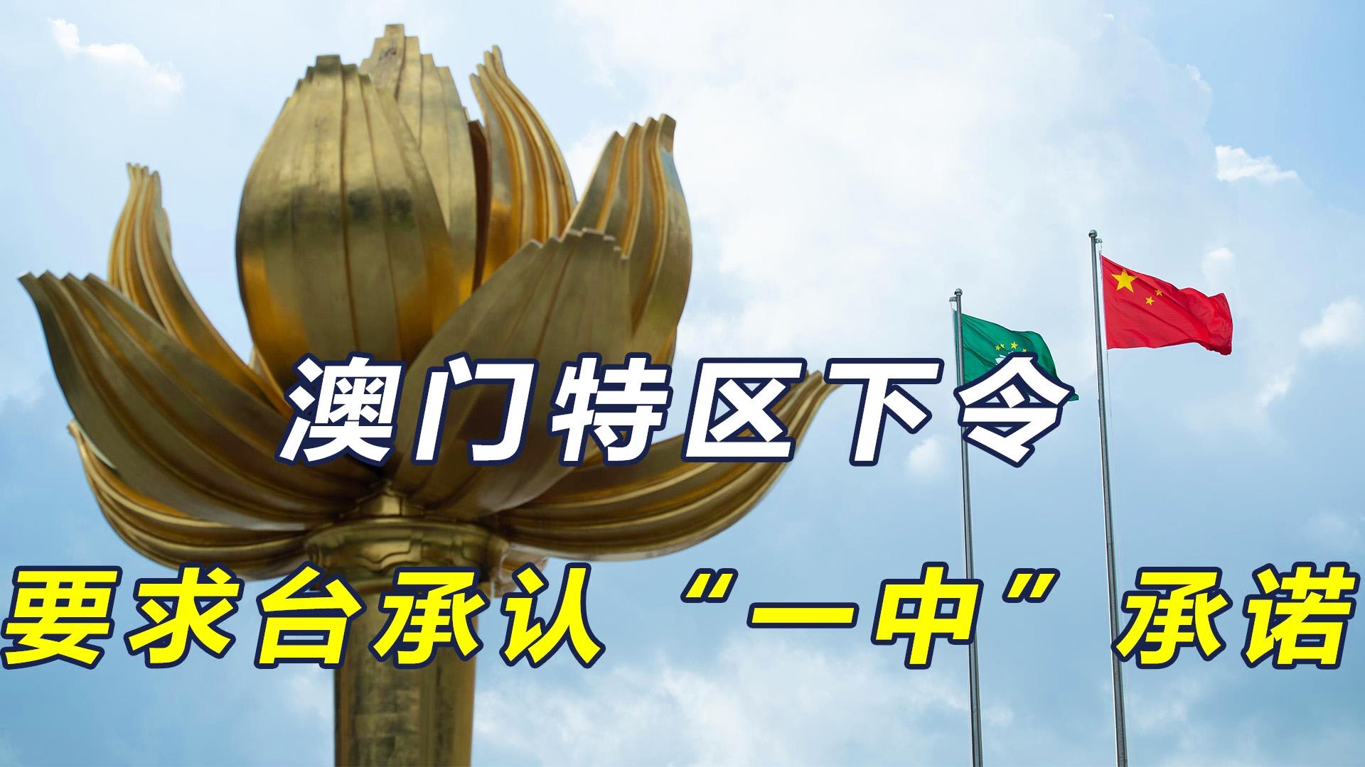 澳門一碼一肖一恃一中312期，揭秘與探索彩票文化背后的秘密，澳門彩票文化揭秘，一碼一肖背后的探索與奧秘