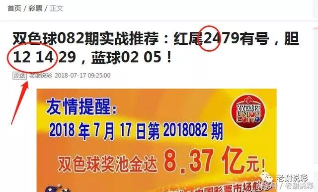 王中王082期指一生肖——探尋生肖魅力，洞悉運(yùn)勢(shì)奧秘，探尋生肖魅力，揭秘運(yùn)勢(shì)奧秘——王中王生肖運(yùn)勢(shì)解析 082期