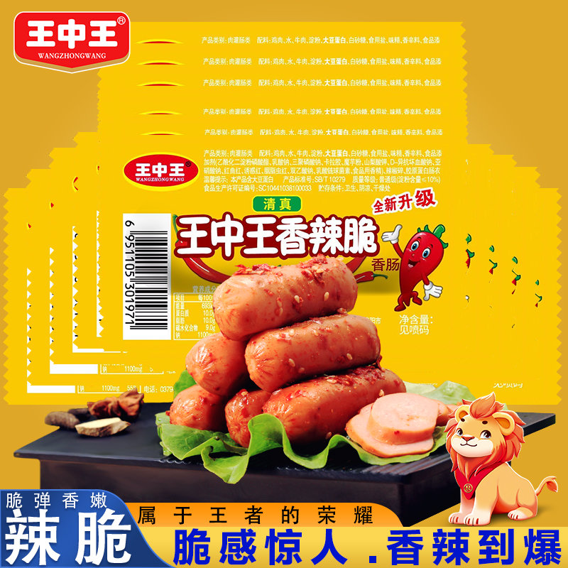 王中王資料一y肖中，深度解析與探索，王中王資料一y肖中深度解析與探索揭秘