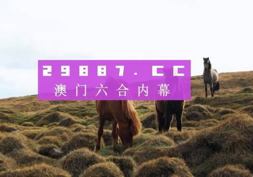 澳門六開獎(jiǎng)結(jié)果2023開獎(jiǎng)記錄查詢網(wǎng)站——全面解析與最新資訊，澳門六開獎(jiǎng)結(jié)果最新解析與資訊，全面查詢2023年開獎(jiǎng)記錄