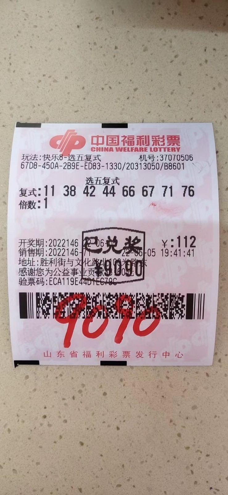 揭秘002期王中王平特一肖，背后的故事與奧秘，揭秘王中王平特一肖背后的故事與奧秘（第002期）