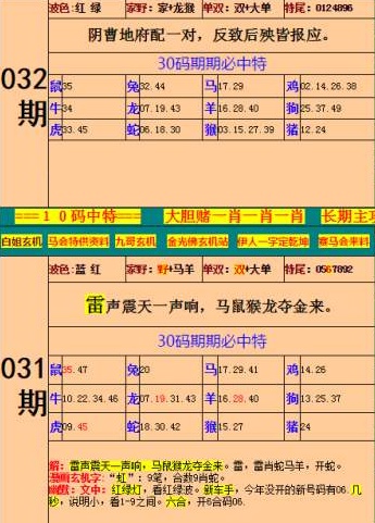王中王特馬資料最準一肖——揭秘精準預測的秘密，揭秘王中王特馬資料最準預測，一肖精準預測的秘密