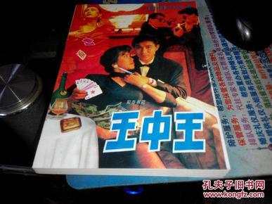 王中王資料一肖中特小說，深度解析與探索，王中王資料一肖中特小說的深度解析與探索之旅
