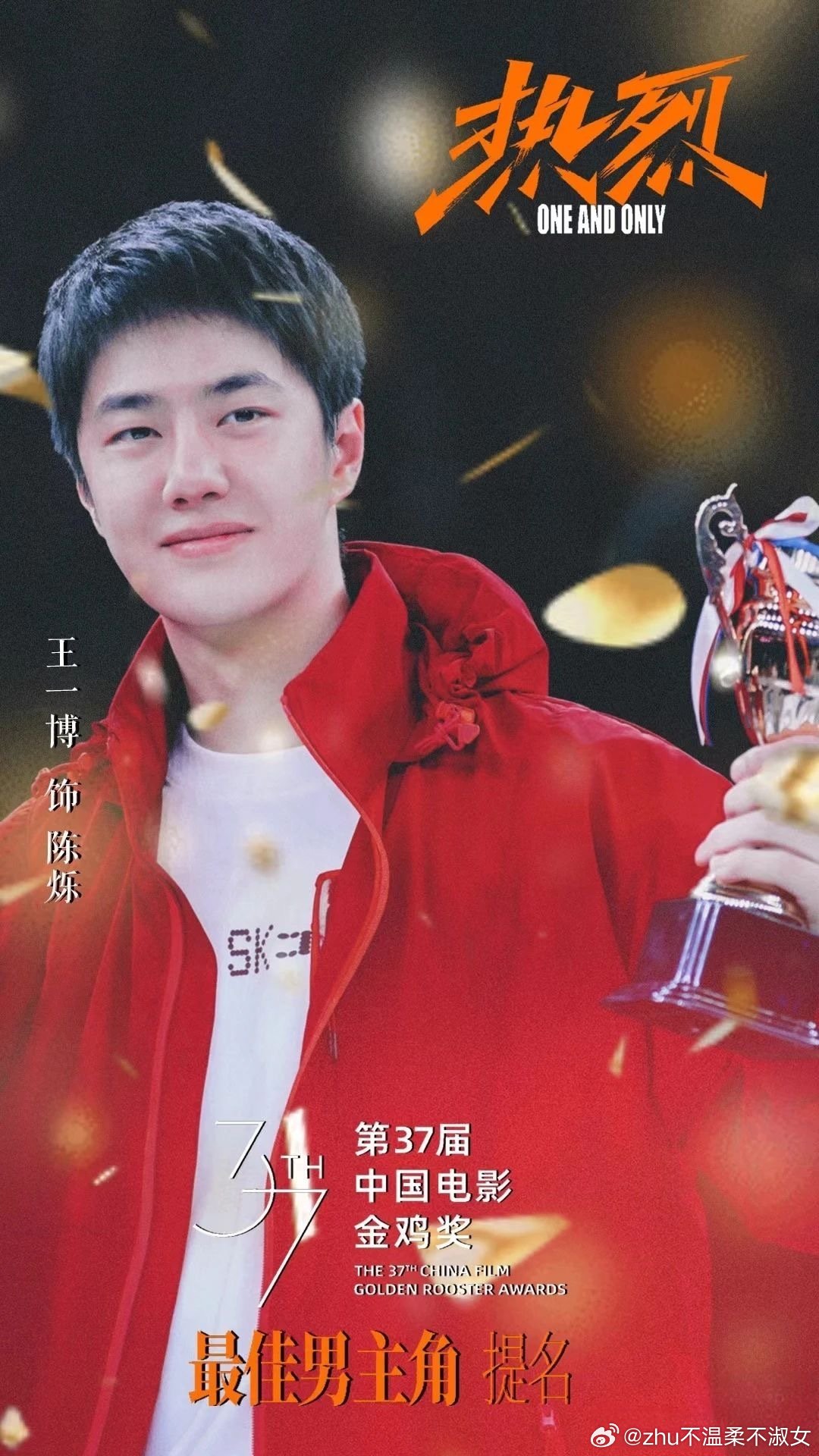 王中王一肖一特一中一中，探尋背后的故事與奧秘，探尋王中王一肖背后的故事與奧秘