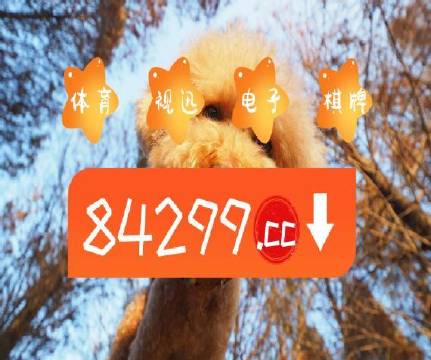 澳門天天開彩好正版掛牌第168期，探索彩票的魅力與策略，澳門彩票探索，魅力與策略揭秘 第168期正版掛牌開彩體驗