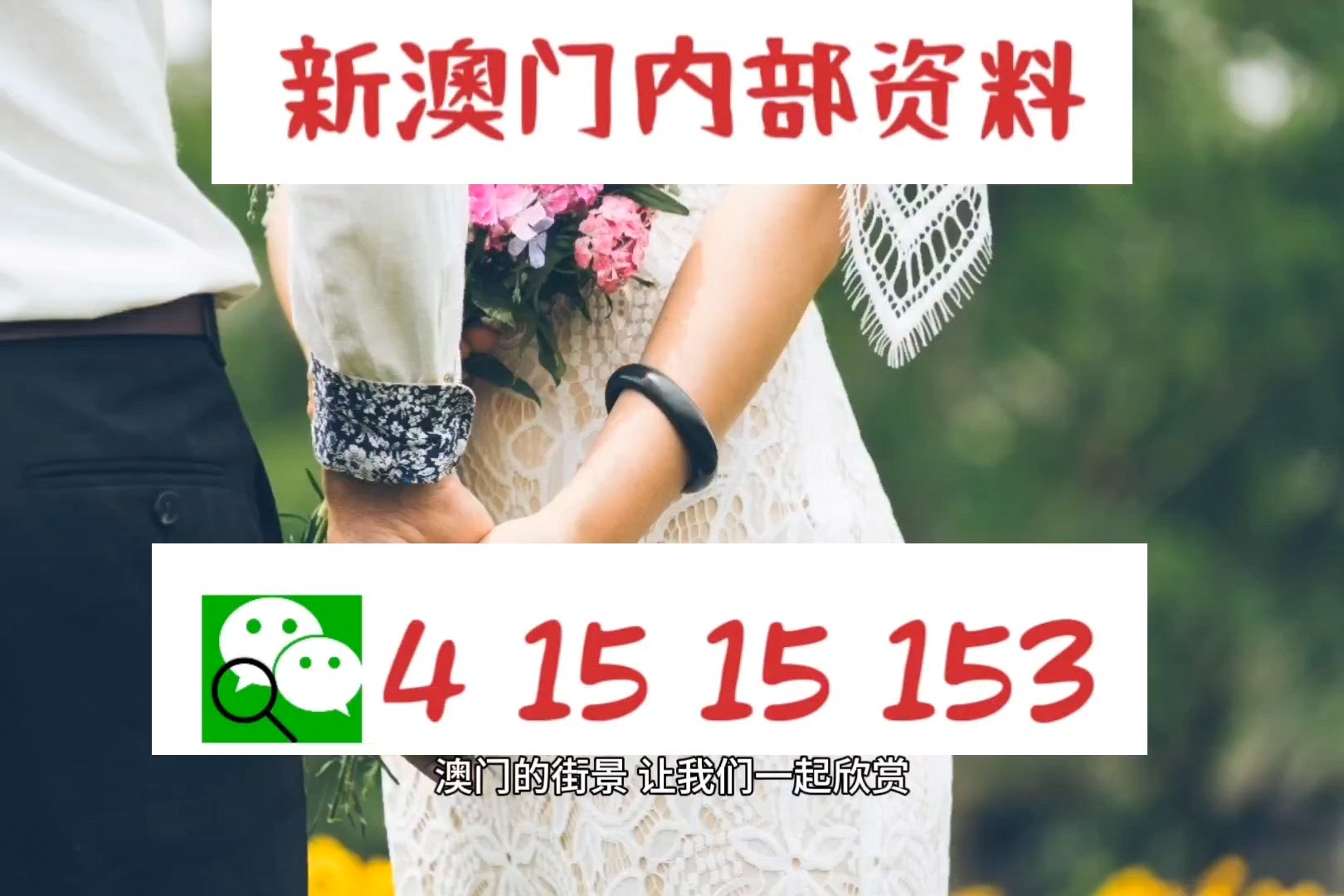 新澳精準(zhǔn)資料，深度解析與探索，新澳精準(zhǔn)資料深度解析與探索之旅