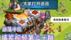 王中王011期指一生肖，深度解析與SEO優(yōu)化文章，王中王011期生肖深度解析與SEO優(yōu)化策略探討