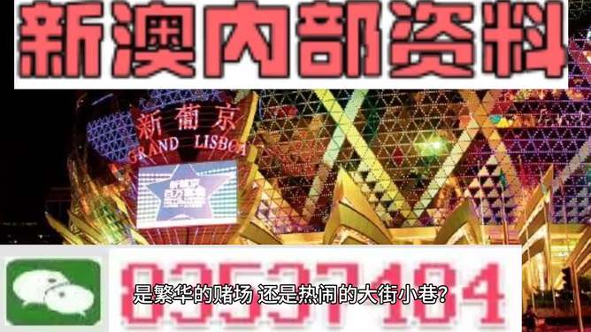 新澳門(mén)精準(zhǔn)資料大全管家婆料，探索與解析，澳門(mén)精準(zhǔn)資料大全解析，探索管家婆料內(nèi)幕