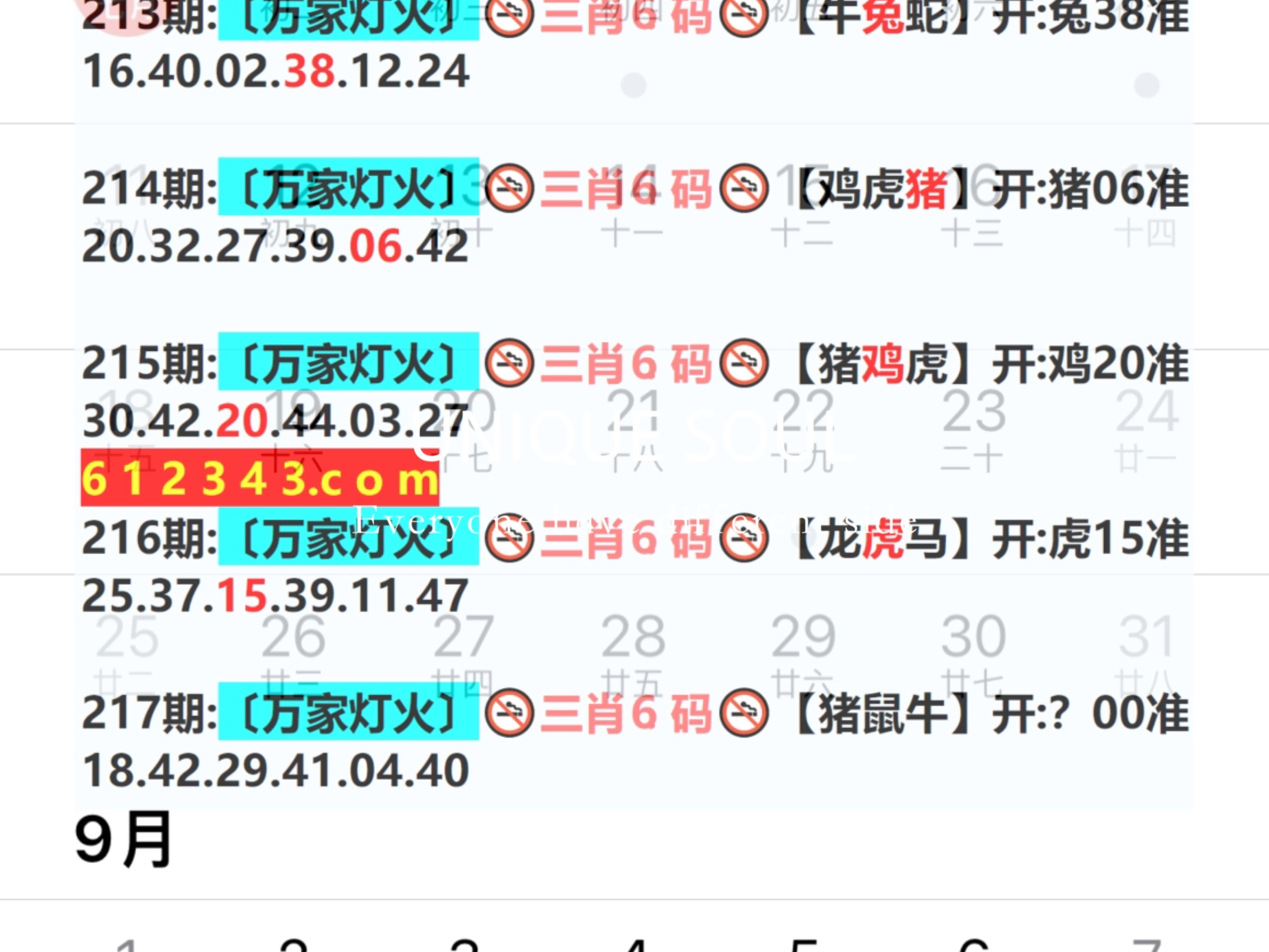 新奧今日六肖中特，揭秘背后的秘密與趨勢分析，揭秘新奧今日六肖中特背后的秘密與趨勢分析