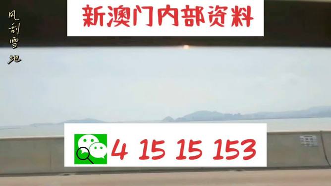 新澳2025最新資料生肖，深度解析與預測展望，新澳2025最新生肖資料深度解析與未來預測展望