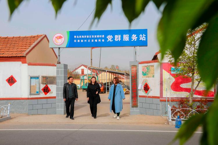 2025新澳天天開彩大全——衣冠群獸探秘，2025新澳天天開彩大全，衣冠群獸探秘之旅