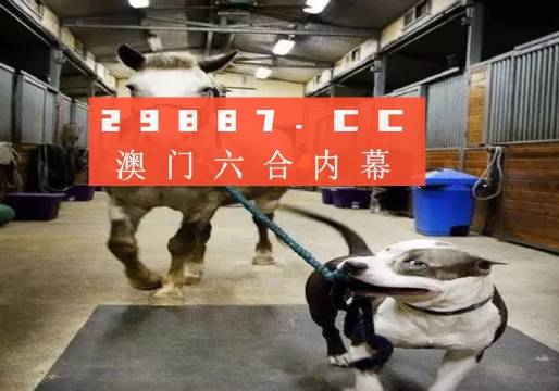 澳門一肖一碼一必中一肖，同舟前進(jìn)的奧秘與策略，澳門一肖一碼必中策略與前進(jìn)奧秘，同舟共濟(jì)的揭秘與策略